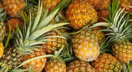 Bernardo Moirenda nos descubre los misterios de la piña guaraya