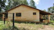 A CASA ABANDONADA DAS PERIGOSAS ERVAS DANINHAS