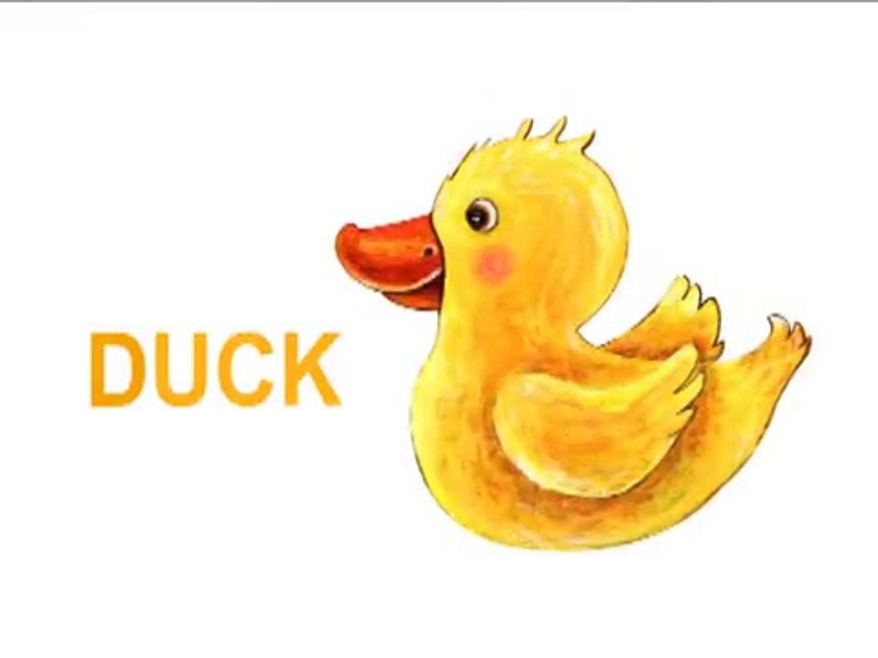 Learn the ABCs_ _D_ is for Duck