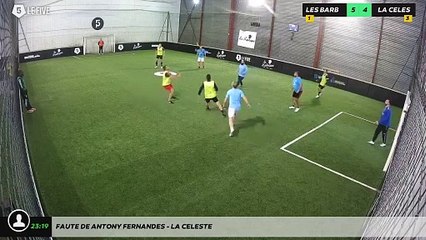 Faute de Antony Fernandes - LA CELESTE