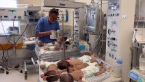 Şifa Hastanesi'nden çıkarılan 28 prematüre bebek Mısır'a nakledildi