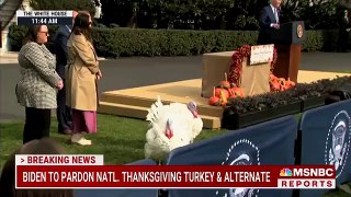 Biden Stumbles, Confuses Taylor Swift with Britney Spears at the Thanksgiving Turkey Pardon Event