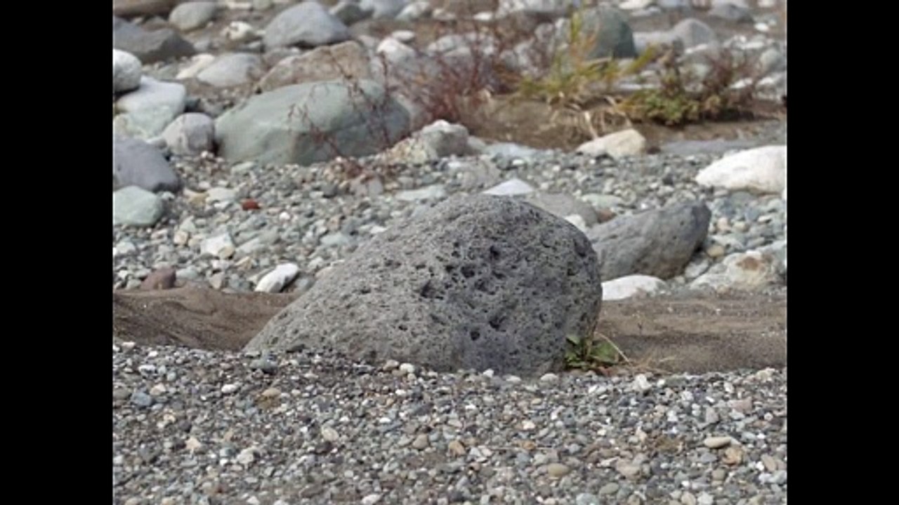 THERE IS A STONE Film