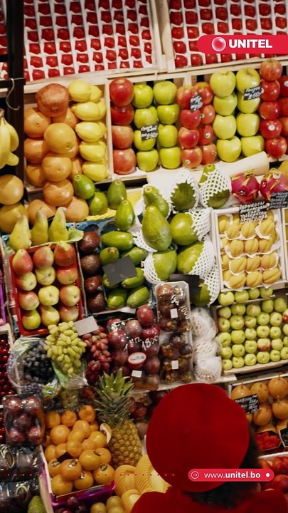 Llega el 2024 y ¿quieres darle a tu vida un giro de 360 grados? Aquí te dejamos 6 hábitos saludables para cuidar tu mente y tu cuerpo