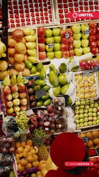 Llega el 2024 y ¿quieres darle a tu vida un giro de 360 grados? Aquí te dejamos 6 hábitos saludables para cuidar tu mente y tu cuerpo