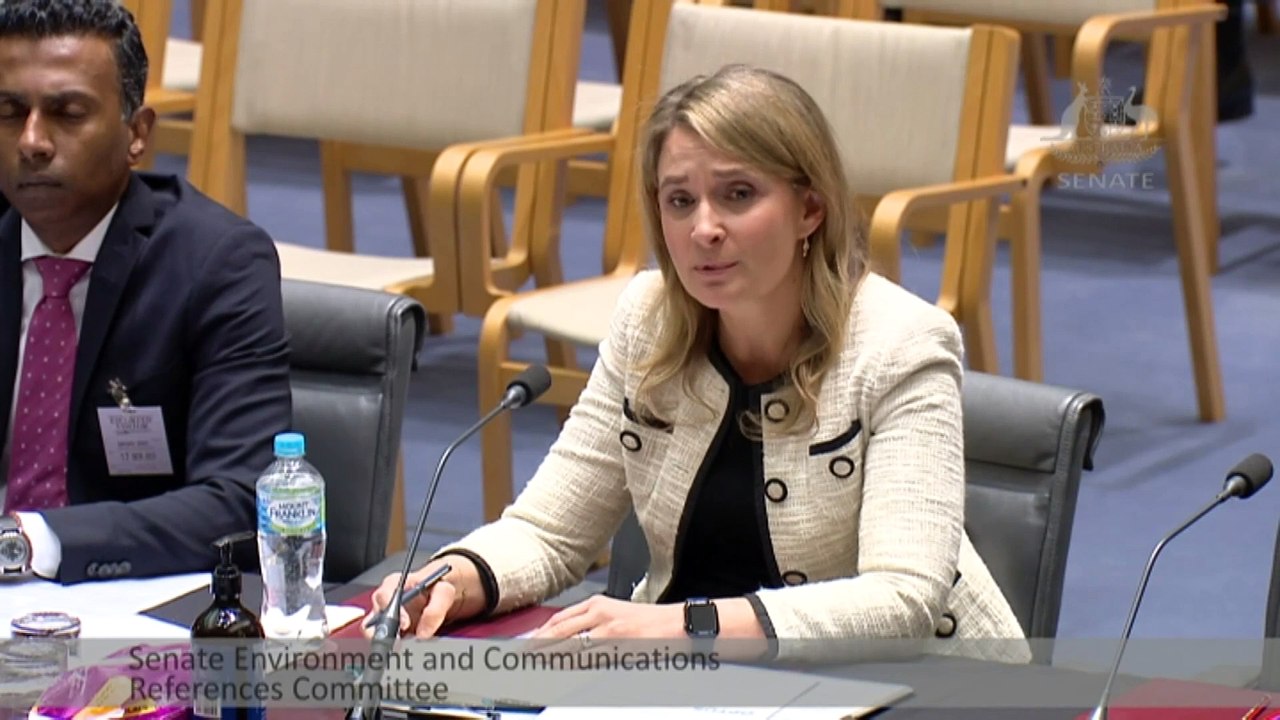 Optus urged to restructure operations after CEO resigns