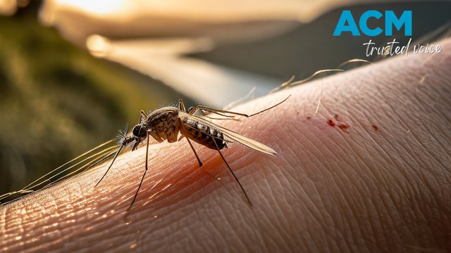 Aussies unprepared for nastier summer bites and stings