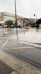 Beaucoup de femmes disent que les mecs sont des chiens