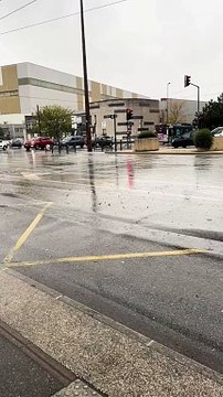 Beaucoup de femmes disent que les mecs sont des chiens