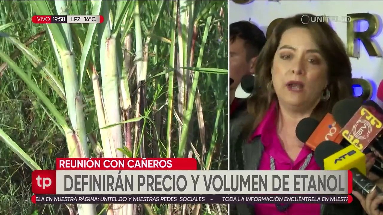 Gobierno convoca a cañeros e ingenios para definir este martes el precio y volumen del etanol