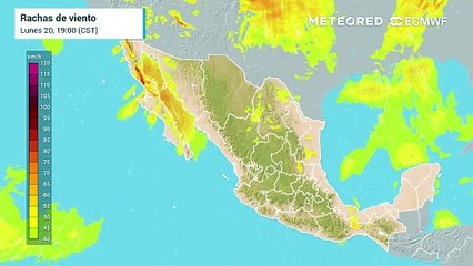 Modelo ECMWF - Viento con ráfagas por tiempo invernal