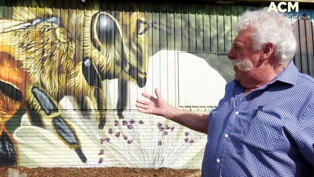 Big and beautiful Bees | The Examiner | November 21, 2023