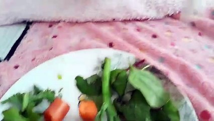 Hailey Rose, Jade Maris - Happy Birthday - S45:E21