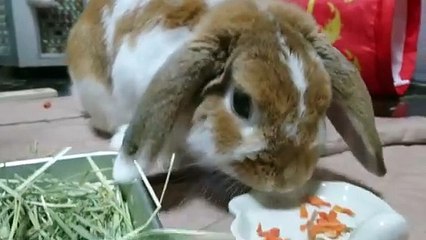 Taste it With the Tip - Katrina Colt, Millie Morgan