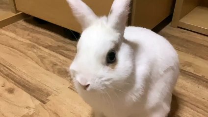 Rikako Katayama's Fascinating Gelatinous Odyssey 🌟