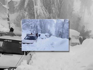 ProShow Slideshow 24