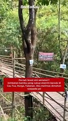 Jembatan bambu yang cukup ekstrim berada di Cau Tua, Marga, Tabanan