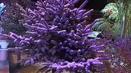 Erciş’e mevsimin ilk karı yağmaya başladı