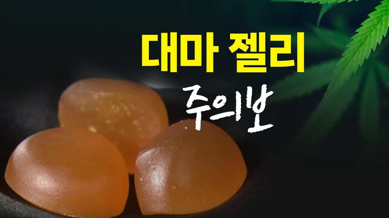 일본서 대마 젤리?...구토·환각 유발 "여행 시 주의하세요" [앵커리포트] / YTN