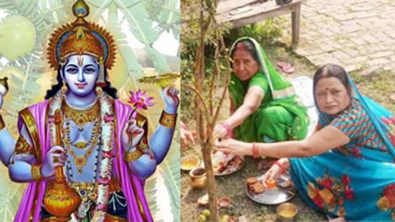 Amla Navami 2023: आंवला नवमी पर आंवले के पेड़ की पूजा करने से क्या होता है | Boldsky