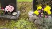 Heartfelt Connection: Baby's Emotional First Visit to Grandma's Grave! || #Heartsome  #heartwarming