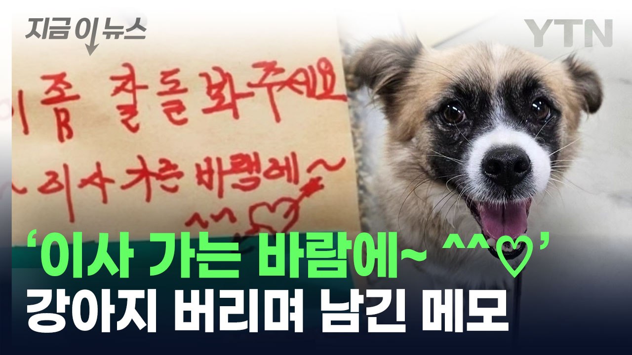 강아지 버리며 남긴 '황당 메모'...내용 보니 '공분' [지금이뉴스] / YTN