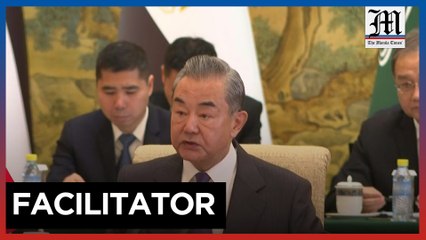 China FM: 'Urgent' steps needed to ease Gaza crisis