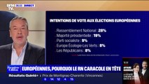 Élections européennes: pourquoi le RN caracole en tête, selon un sondage