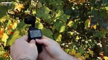 Discover the Secrets of the DJI Osmo Pocket 3 | Best vlogging camera