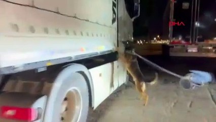 Adana'da Narkogüç-36 Operasyonunda 64 Kilo Skunk Ele Geçirildi