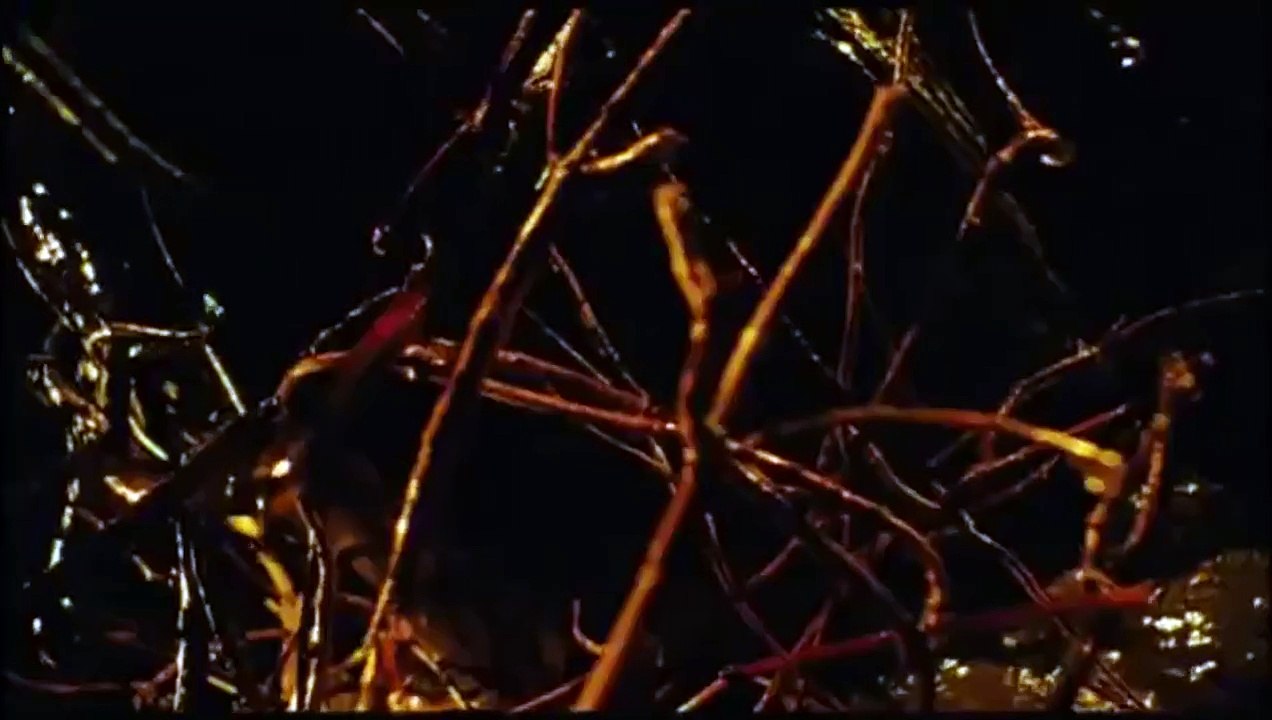 Les rivières pourpres 2 : les anges de l'Apocalypse (2004) - Bande annonce