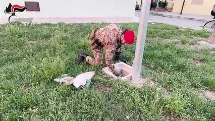 Puglia: spaccio nel centro abitato, arresti nell'operazione "Blackout" dei Carabinieri nella Bat - VIDEO