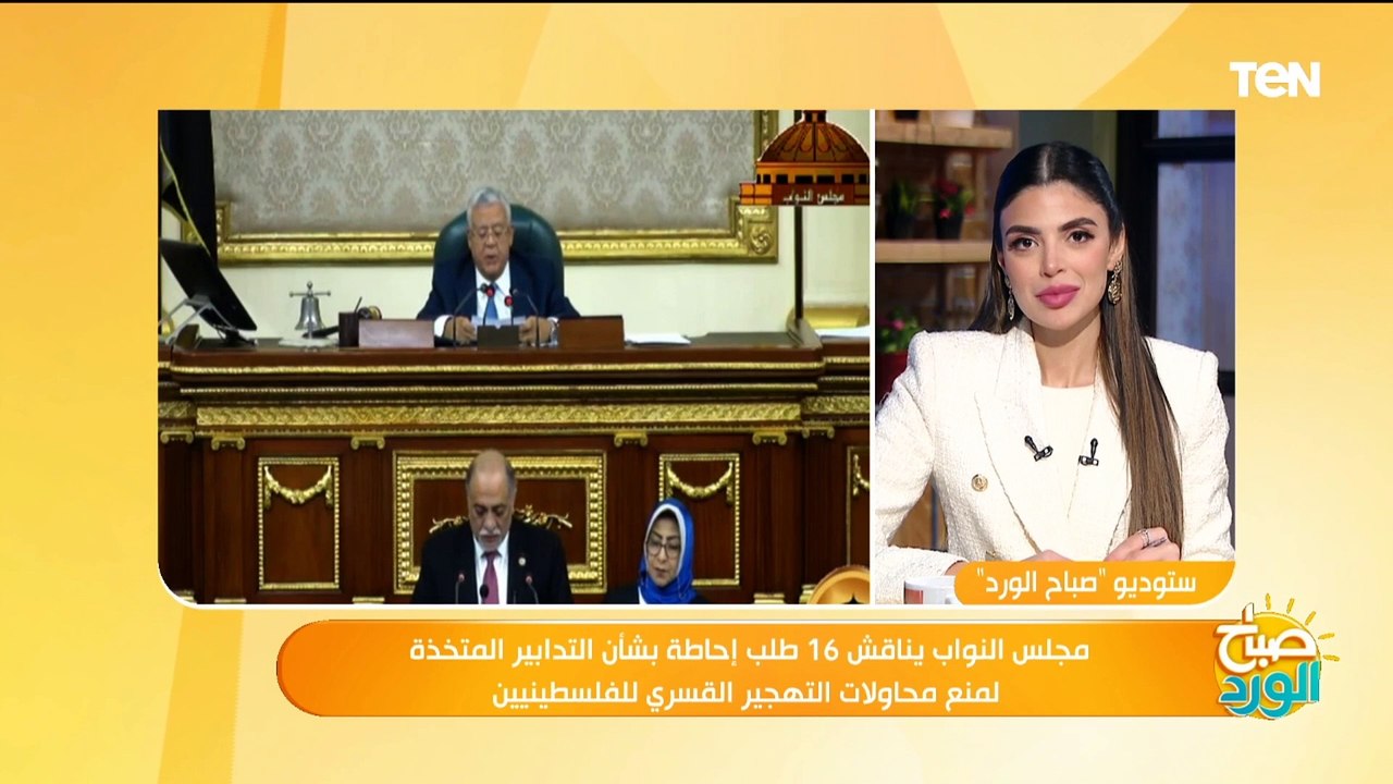 النائب عماد خليل: الرئيس السيسي وقف بالمرصاد ضد فكرة تهجير الفلسطينيين