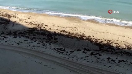 Fotoğraf çekmek isterken dalgaların arasında kaldı! O anlar böyle görüntülendi