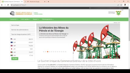 GUCE : Demande ''Fond Départemental d'Insertion (FDI)'' sur guce.gouv.ci 1