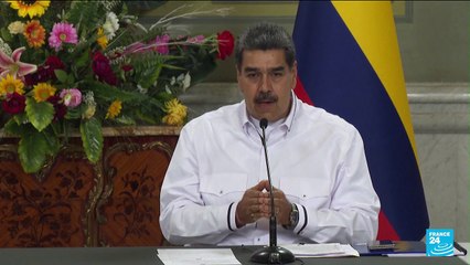 Argentine : Javier Milei, élu président, promet de vaincre l'inflation chronique