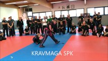 WORLD KRAV MAGA ORGANIZATION - SPK MASTER LEVINET