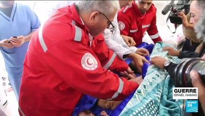 Gaza : 28 bébés prématurés, évacués de l'enclave, sont arrivés en Égypte