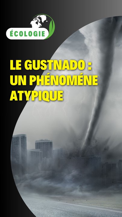 Le gustnado : Un phénomène atypique