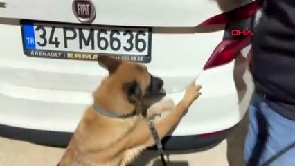 Aydın'da Özel Eğitimli Köpek İle Uyuşturucu Operasyonu