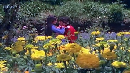 Tere Liye /1981 Main Aur Mera Haathi/ Kishore Kumar, Anuradha Paudwal