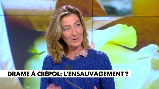 Céline Pina : «Cette décivilisation est basée sur un problème culturel qui est en lien avec l’immigration, mais aussi avec la façon dont les islamistes et les frères musulmans reconquièrent cette population»