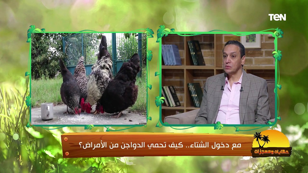 معجزات الله في "الحوت" ملك البحار..وكيف نحمي الدواجن في فصل الشتاء| حكايات ومعجزات