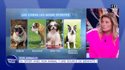Vos animaux : Du sport avec son animal ? Une source de bienfaits !