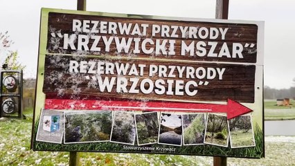 Przystanek Stara Kuźnia - historia w zdjęciach zapisana