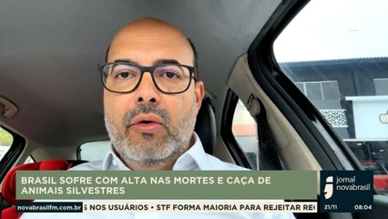 BRASIL SOFRE COM ALTA NAS MORTES E CAÇA DE ANIMAIS SILVESTRES