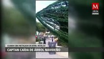 Captan caída de árbol navideño cuando estaba siendo instalado en Apan, Hidalgo