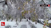 Erzurum, Kars ve Ardahan'da kar ve soğuk hava ile kara kış erken geldi