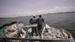 Uganda: los limpiadores del lago Victoria