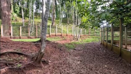 ext-zoologico-allanamientos-211123